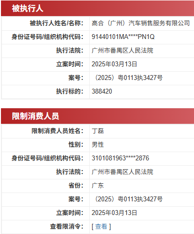 闪牛 高合汽车创始人丁磊再被限消，涉案总金额超1700万元