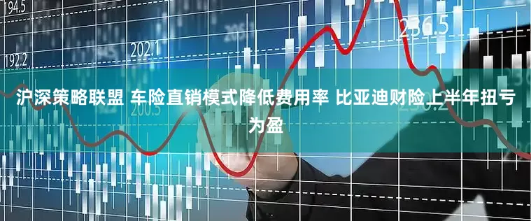 沪深策略联盟 车险直销模式降低费用率 比亚迪财险上半年扭亏为盈