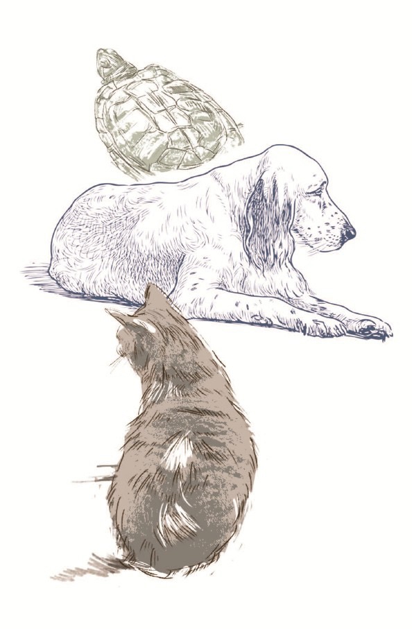 盈珑操盘 新民特稿｜当它老去